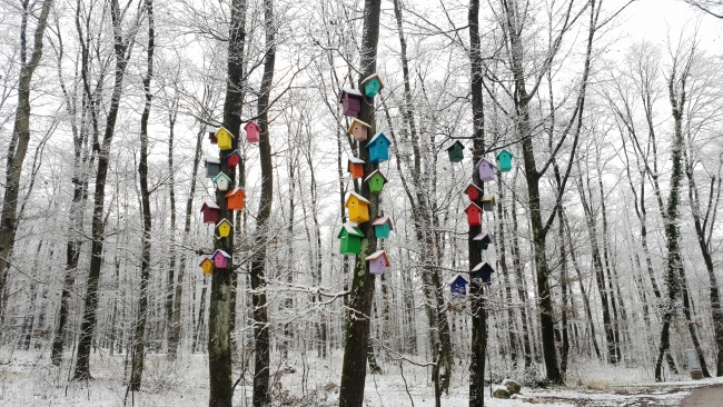 Kocaeli'nin doğal yaşam parkı "Ormanya"