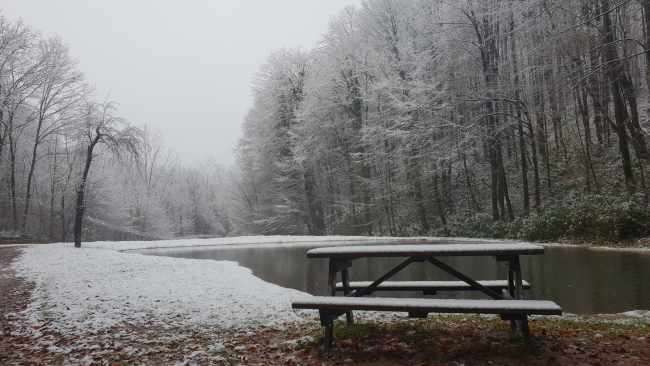 Kocaeli'nin doğal yaşam parkı "Ormanya"