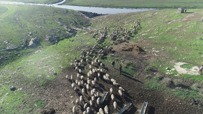 Göçerler soğuk havayla çadırlarda mücadele ediyor