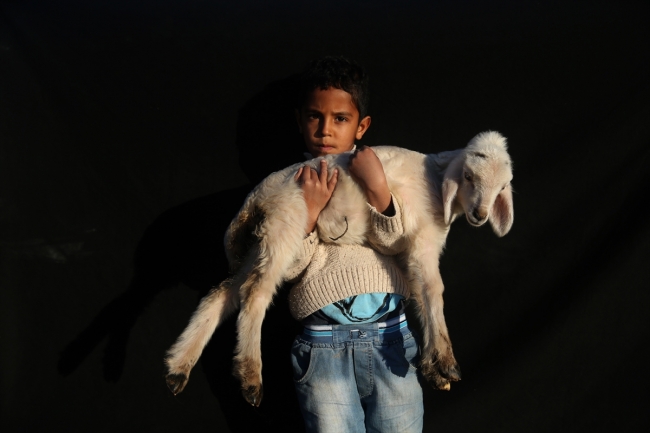 Göçerler soğuk havayla çadırlarda mücadele ediyor