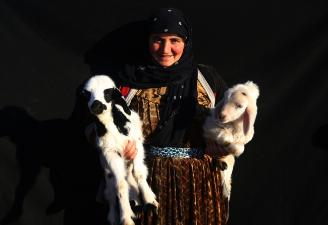 Göçerler soğuk havayla çadırlarda mücadele ediyor