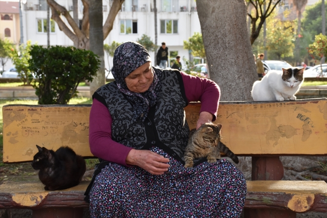 Sahipsiz kedilerin Fadime annesi