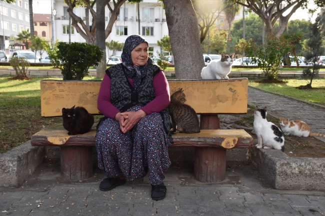 Sahipsiz kedilerin Fadime annesi