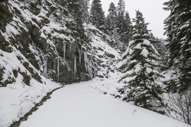 Yaralıgöz Dağı beyaza büründü