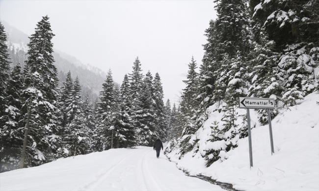 Yaralıgöz Dağı beyaza büründü