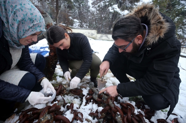 Balıkçı ağına takılan çapa tarihe ışık tutacak