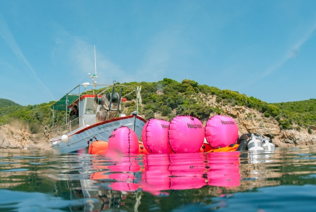 Yunanistan'da denizden 2 ton balık ağı çıkarıldı