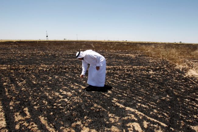 Irak'ta halk, tarım arazilerinde çıkan yangınlarla mücadele ediyor