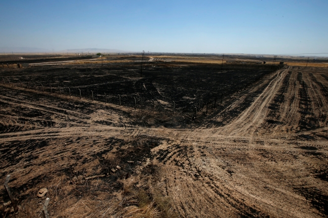 Irak'ta halk, tarım arazilerinde çıkan yangınlarla mücadele ediyor