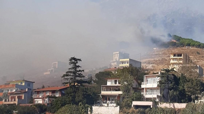 Marmara Adası'ndaki yangın kontrol altına alındı