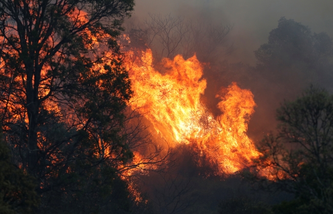 Avustralya’da yangınlar nedeniyle acil durum ilan edildi