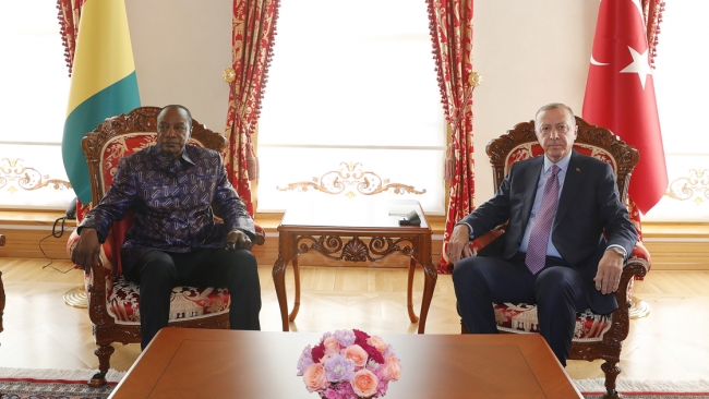 Cumhurbaşkanı Erdoğan Gine Cumhurbaşkanı ile görüştü