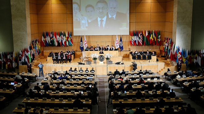 Cumhurbaşkanı Yardımcısı Oktay'dan dünyaya FETÖ çağrısı