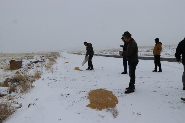 Yabani hayvanlar için 15 yıldır doğaya yem bırakıyor