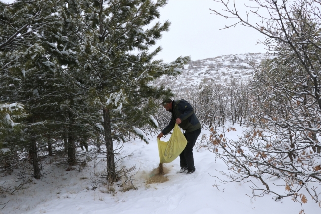Yabani hayvanlar için 15 yıldır doğaya yem bırakıyor