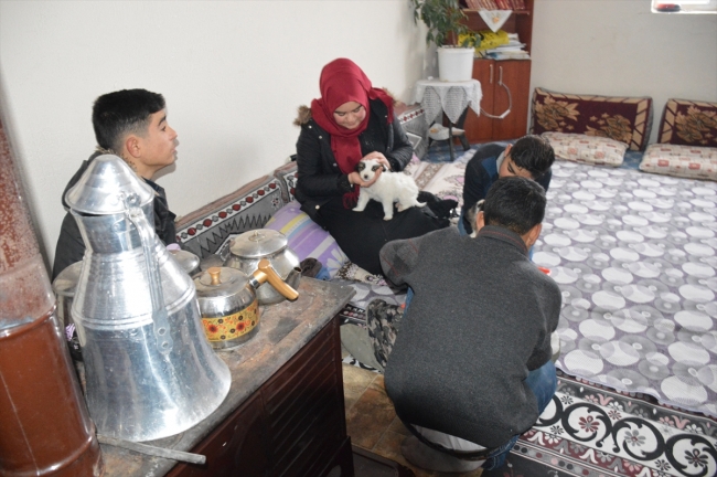 Donmak üzere olan köpek yavrularına evlerini açtılar
