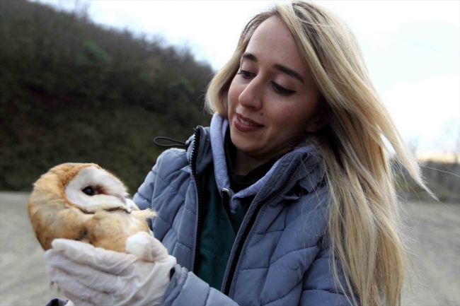 Yaralı bulunan baykuşlar tedavi edilerek doğaya bırakıldı