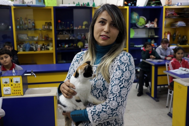 Kedi "Pamuk" derslere girmeye başladı