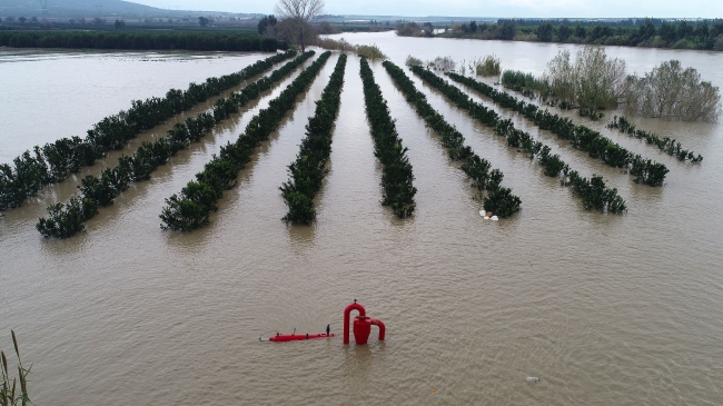 Ceyhan Nehri taştı; Adana sular altında kaldı