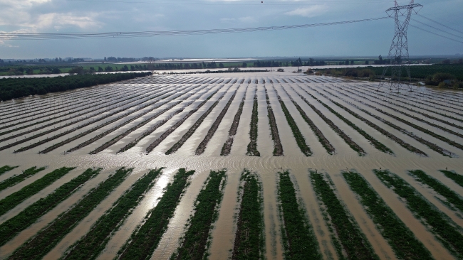 Ceyhan Nehri taştı; Adana sular altında kaldı