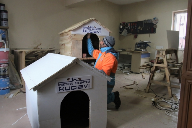 Van'da sokak hayvanlarını sahiplenenlere kulübe hediye