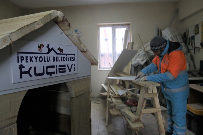 Van'da sokak hayvanlarını sahiplenenlere kulübe hediye