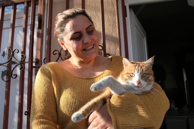 Van'da sokak hayvanlarını sahiplenenlere kulübe hediye