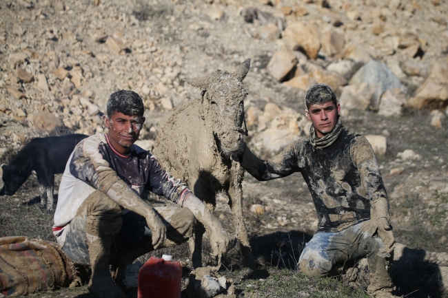 Çamura saplanan hayvanlar için seferber oldular