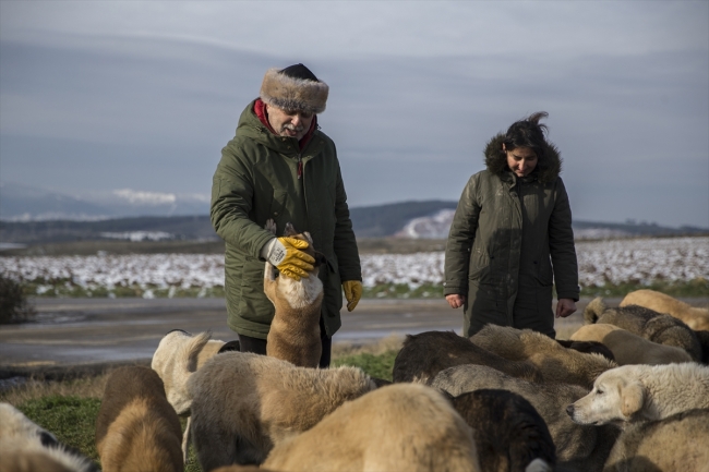 Kurduğu aşeviyle hayvanları doyuruyor