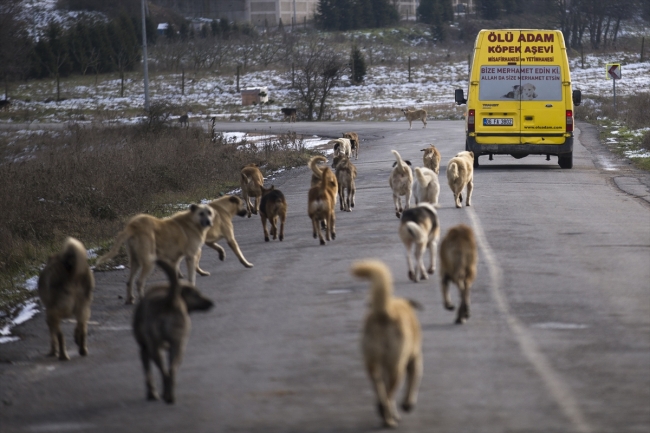 Kurduğu aşeviyle hayvanları doyuruyor