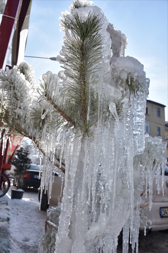 Sıfırın altında 28'i gören Kars'ta ağaçlar buz tuttu