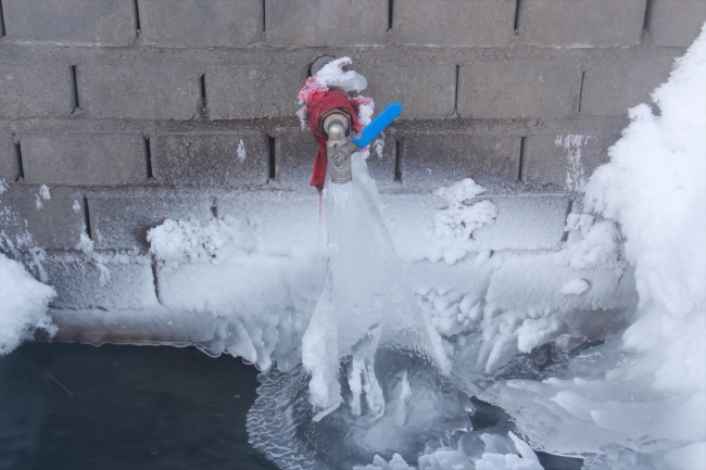 Sıfırın altında 28'i gören Kars'ta ağaçlar buz tuttu
