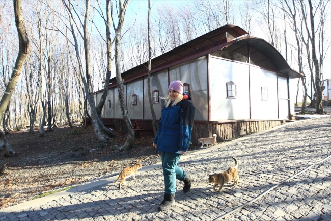 Samsun'da bin kedinin yaşadığı "Kedi Kasabası"