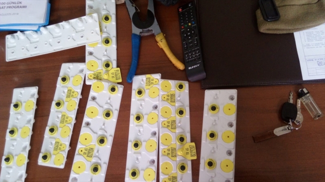 6 ilde "hibe hayvan" dolandırıcılarına operasyon