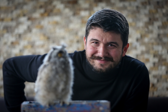 Yaralı flamingoya ve yavru baykuşa evini açtı