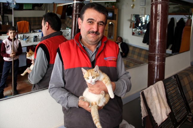 Sivaslı berberin sokak hayvanı sevgisi