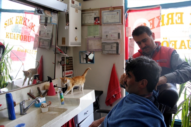 Sivaslı berberin sokak hayvanı sevgisi