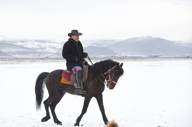 "Kovboy Ali dayı" hayatını atlarına adadı