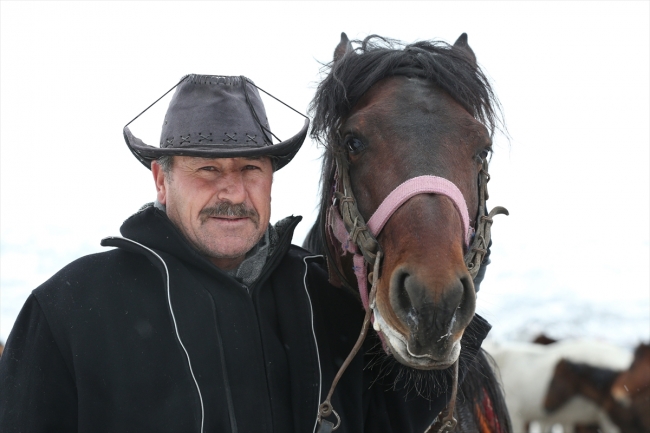 "Kovboy Ali dayı" hayatını atlarına adadı