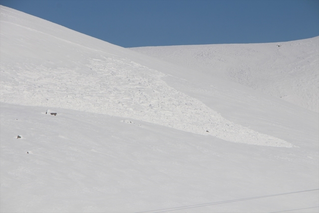 Karlıova ilçe merkezine çığ düştü