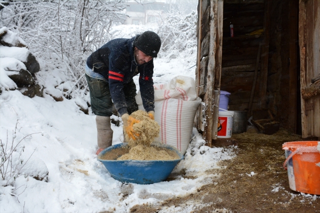 Hayvancılık yaparak okul masraflarını karşılıyor