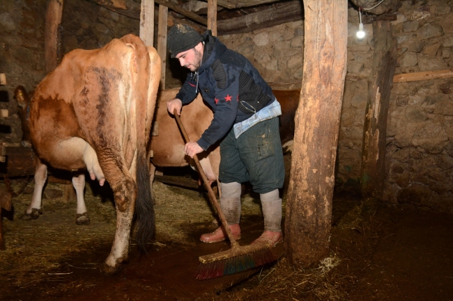 Hayvancılık yaparak okul masraflarını karşılıyor