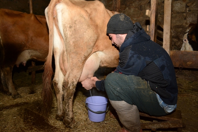 Hayvancılık yaparak okul masraflarını karşılıyor