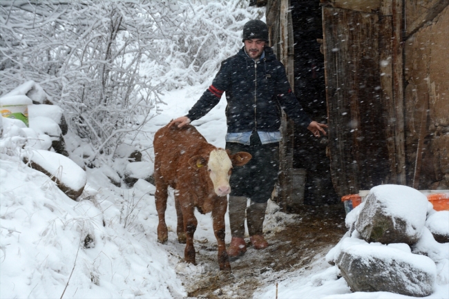 Hayvancılık yaparak okul masraflarını karşılıyor
