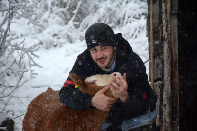 Hayvancılık yaparak okul masraflarını karşılıyor