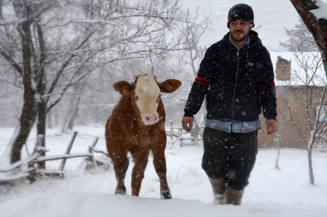 Hayvancılık yaparak okul masraflarını karşılıyor