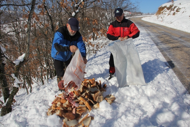 Sokak hayvanları için yıllardır ekmek topluyorlar