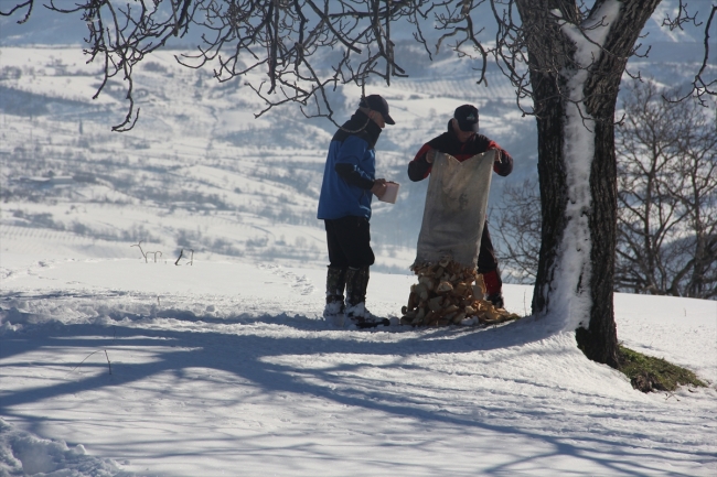 Sokak hayvanları için yıllardır ekmek topluyorlar