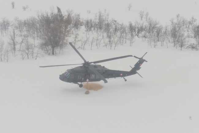 Aç kalan yabani hayvanların imdadına Mehmetçik yetişti