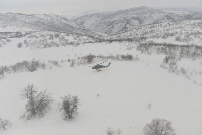 Aç kalan yabani hayvanların imdadına Mehmetçik yetişti